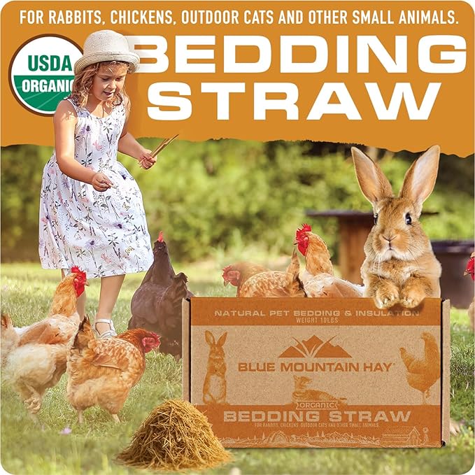 Blue Mountain Hay | Organic Bedding Straw (10 lb) | Natural Pet Bedding & Insulation for Rabbits, Guinea Pigs, Goats, Chickens, Stray & Feral Cats, and Small Animal Shelters