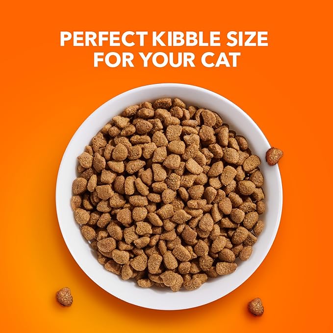 IAMS Proactive Health Adult Healthy Dry Cat Food with Chicken, 3.5 lb. Bag