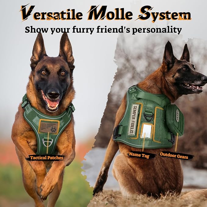 rabbitgoo Dog Harness for Large Dogs No Pull, Tactical Service Pet Vest with Molle and Control Handle, Adjustable and Reflective Military Harness for Easy Walking and Training, Green, L