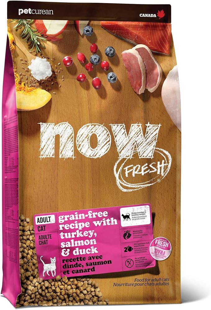 Now Fresh Grain-Free Dry Cat Food with Turkey, Salmon & Duck, Healthy Kibble for Adults Made with Real Meat & Fish, Chicken-Free, with Pumpkin & Probiotics for Sensitive Stomachs, 8 lb Bag