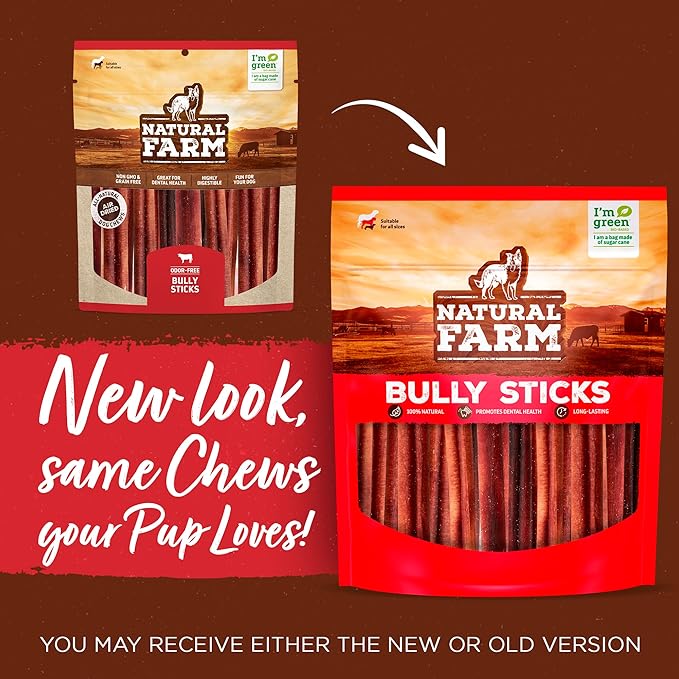 Natural Farm Odor-Free Thick Bully Sticks (12”, 5-Pack) All-Natural Long-Lasting Dog Chews, 100% Beef Pizzle, Grass-Fed, Grain-Free, Protein for Muscle Development & Energy, Perfect for Large Dogs