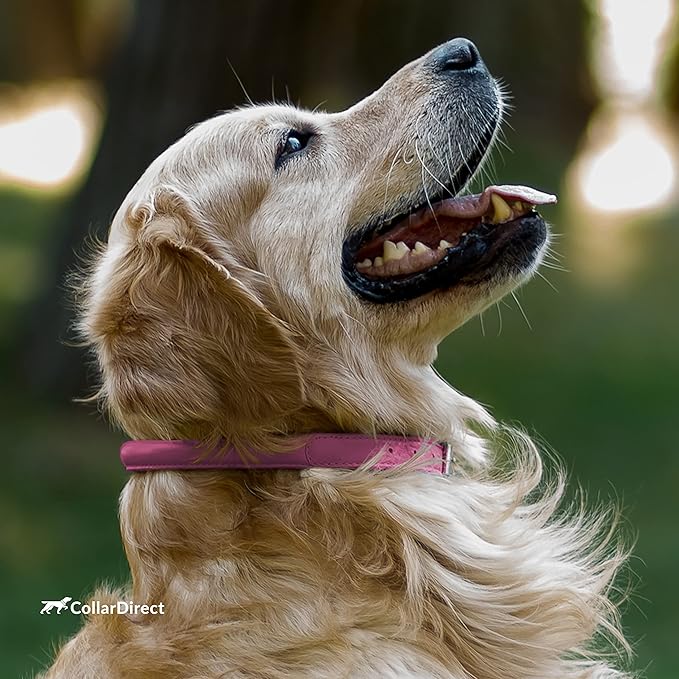 CollarDirect Rolled Leather Dog Collar, Soft Padded Round Puppy Collar, Handmade Genuine Leather Collar Dog Small Large Cat Collars 13 Colors (15-19 Inch, Pink Textured)