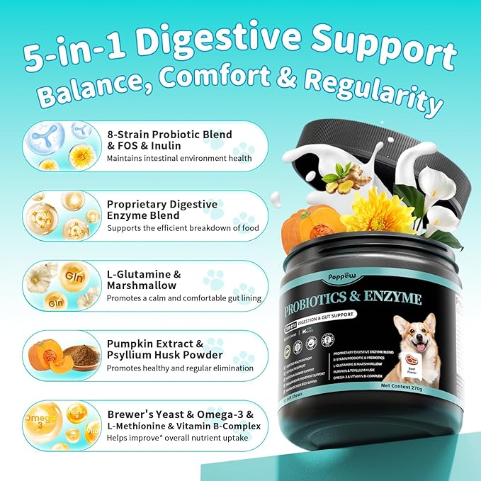 Probiotics for Dogs, Digestive Enzymes for Gut Health Support, Dog Fiber Supplement with Pumpkin for Diarrhea & Bowel Support, Upset Stomach & Gas Relief, Constipation - 90 Count Beef Flavor