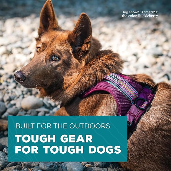 Wilderdog Lightweight Dog Harness with Reflective Straps - Small - Huckleberry