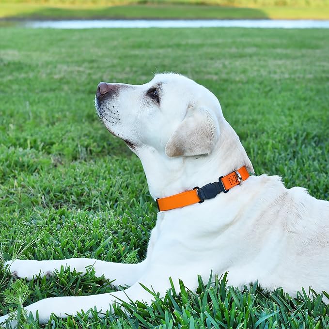 Dogline Biothane Waterproof Dog Collar with Herm Sprenger Black Stainless Steel Quick Release Buckle – Heavy Duty Tactical Durable Collar for Dogs – Comfortable Pet Collar W3/4" L12-19 Tangerine