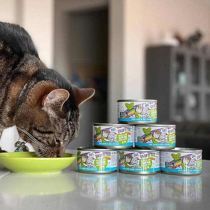 Weruva B.F.F. OMG - Best Feline Friend Oh My Gravy!, Love Munchkin! with Chicken & Pumpkin in Gravy Cat Food, 5.5oz Can (Pack of 8)
