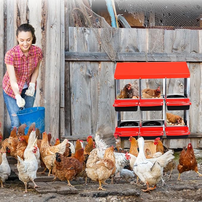 Chicken Nesting Box, 6 Hole 2 Layer Hen Nest Box, Roll Away Eggs Laying Box,Cleanable Pull Out Hen Roosting Box