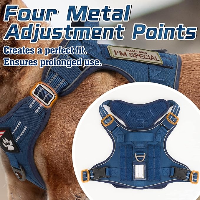 rabbitgoo Tactical Dog Harness for Small Dogs, No Pull Military Service Vest with Handle & Molle, Easy Control for Training Walking, Adjustable Reflective Straps, Blue, S
