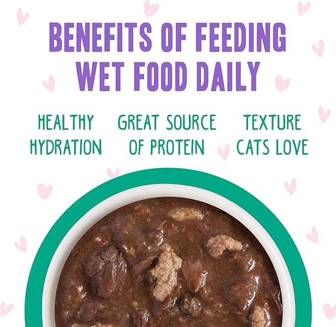 Weruva B.F.F. OMG - Best Feline Friend Oh My Gravy!, Tuna & Turkey Tell Me with Tuna & Turkey, 2.8oz Can (Pack of 12)