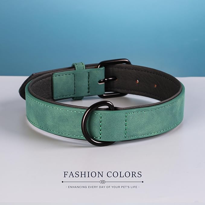 Didog Soft Padded Leather Dog Collar, Breathable Heavy Duty Dog Collar Leather with Adjustable Rust-Proof Metal Buckle for Small Medium Large Dogs, Green, M: Total length 16'', Fit 11-13''Neck
