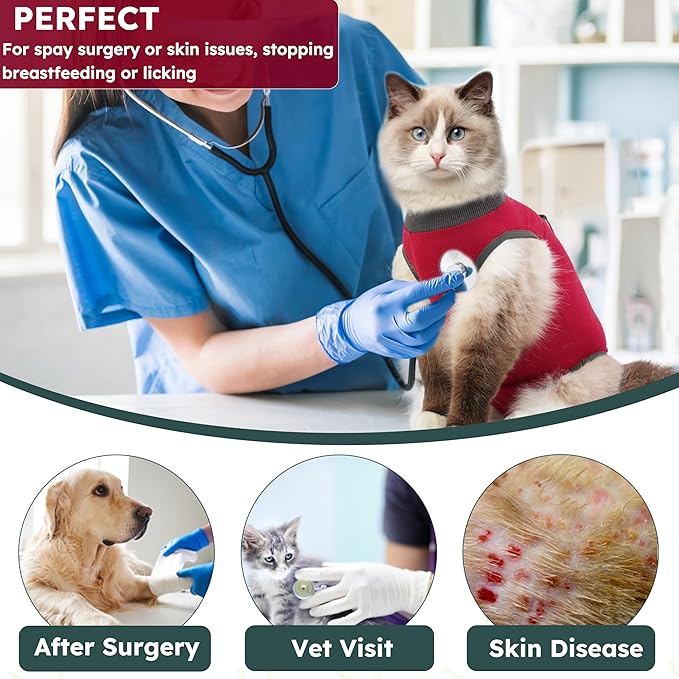Cat Recovery Suit for Spay Abdominal Wounds, Kitten Onesie Bodysuit for Cats After Surgery, Cat Surgery Recovery Suit Female Cone of Shame Alternative for Cats Anti Licking (Red,M)