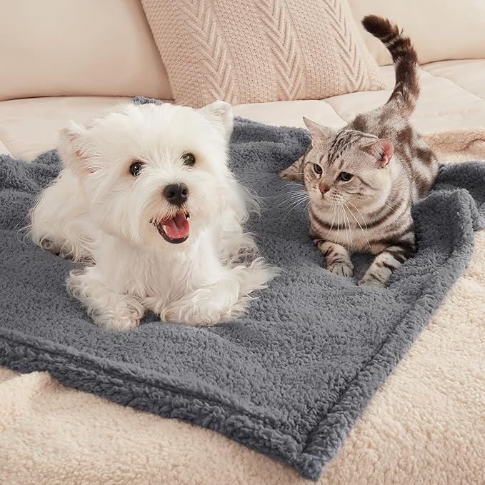1 Pack 3 Calming Blankets Fluffy Premium Fleece Pet Blanket Soft Sherpa Throw for Dog Puppy Cat Beige Small (23" x16'')