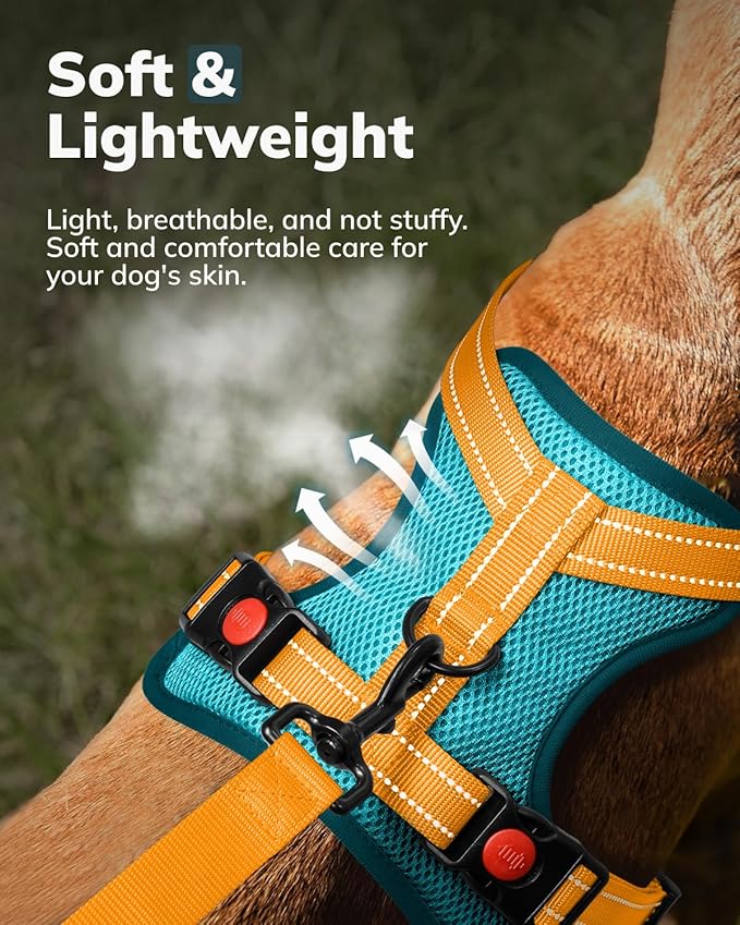 MIDOG No-Pull Dog Harness | Adjustable & Reflective Pet Harness Leash Set for Small Medium Large Dogs Walking, Training| No Choke, Front Clip, Soft Padded Vest with Easy Control Handle - Blue, M
