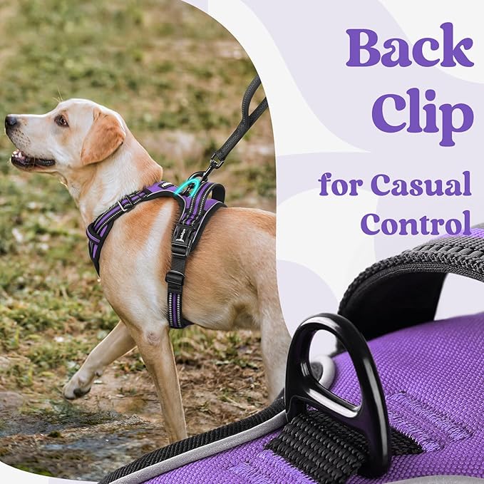 rabbitgoo Dog Harness Small Sized, No Pull Pet Harness with 3 Buckles, Adjustable Soft Padded Vest with Control Handle, Walking Reflective Pet Vest for Small Dogs, Purple, S