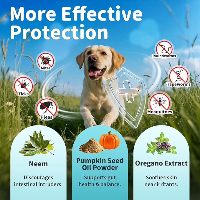 Dog Flea and Tick Support, Natural Herbal Flea & Tick Comfort for Dogs, Flea Liquid Drops Supplement for Dogs with Neem, Oregano, Pumpkin Seed Oil - Beef Flavor, 2 FL.Oz - All Breeds & Sizes