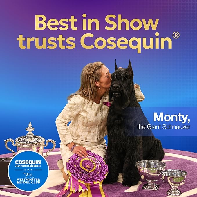 Nutramax Cosequin for Dogs Joint Health Supplement, Contains Glucosamine for Dogs, Plus Chondroitin and MSM, Supports Healthy Joints, Chewable Tablets, 250 Count