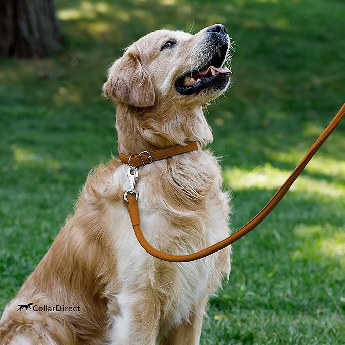 CollarDirect Rolled Leather Dog Collar, Soft Padded Round Puppy Collar, Handmade Genuine Leather Collar Dog Small Large Cat Collars 13 Colors (8-11 Inch, Cinnamon Textured)
