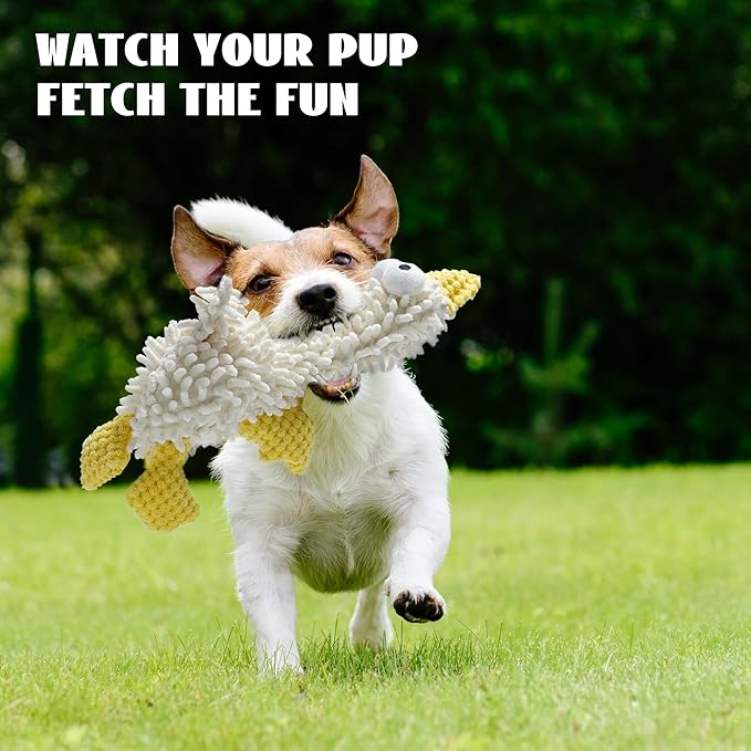 Nocciola Plush Squeaky Dog Toys, Cute Durable Stuffed Crinkle Puppy Pet Chew Toys for Large Medium Small Dogs - Dragonfly