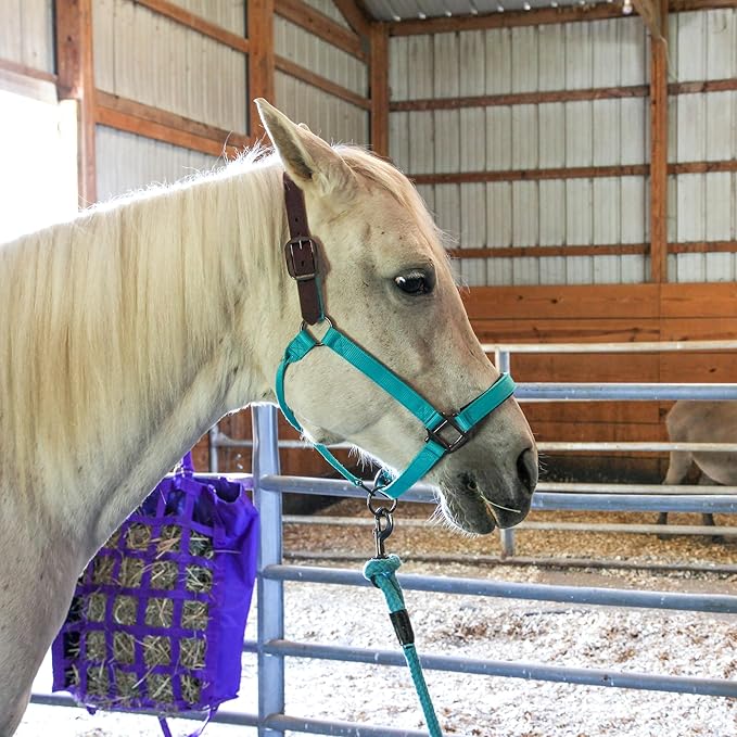 Majestic Ally Leather Halter with Matching Lead Rope for Horses – Leather Breakaway Crown - Adjustable Chin Strap – Rolled Throat Latch – Padded Noseband – Full (Hunter Green, Full)
