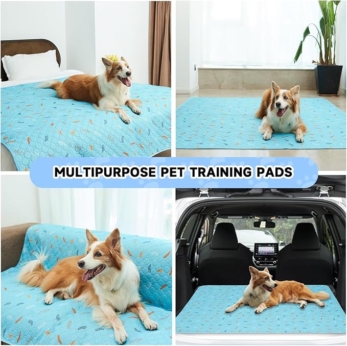 Sunheir Washable Pee Pads for Dogs Extra Large 36" x 48" 2-Pack Reusable Puppy Pads Pet Training Pads, Whelping Pad, Non-Slip Protects Against Urine Leakage (Leaves - Sky Blue, 36x48)
