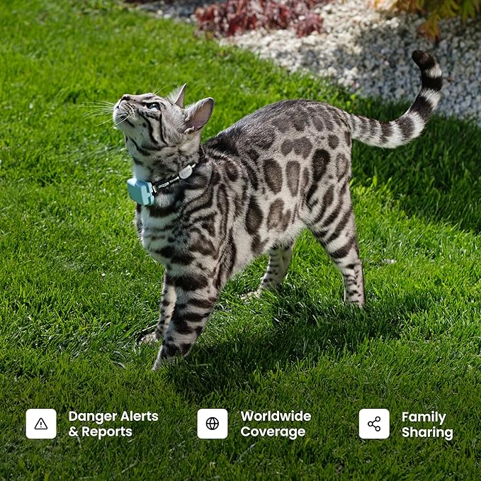 Tractive Smart Cat GPS Tracker | Real-Time Location & Wellness Monitoring for Cats 6.5 lbs+ | Territory & Location History | Up to 5-Day Battery | Breakaway Collar Included (Dark Blue)