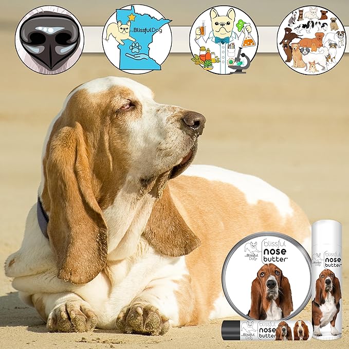 The Blissful Dog Basset Hound Unscented Nose Butter, 16oz