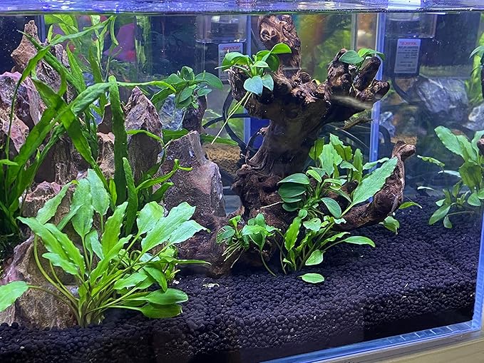 Landen Aqua Soil Substrate for Natural Planted Aquarium, Plant or Shrimp Stratum, Clay Gravel and Stable Porous Substrate for Freshwater Aquarium, Black Color 40lbs