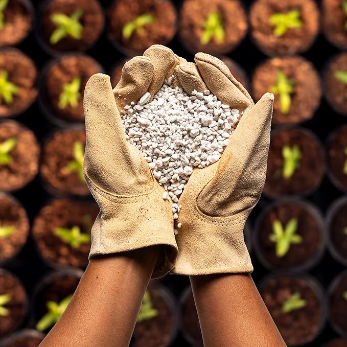 Perlite Bliss (24 Qts) - Organic Perlite for Plants - Coarse Perlite Bulk Soil Amendment - Chunky Perlite for Plants, Potting Soil, Garden Soil, & Coco Coir - Horticultural Perlite for Gardening