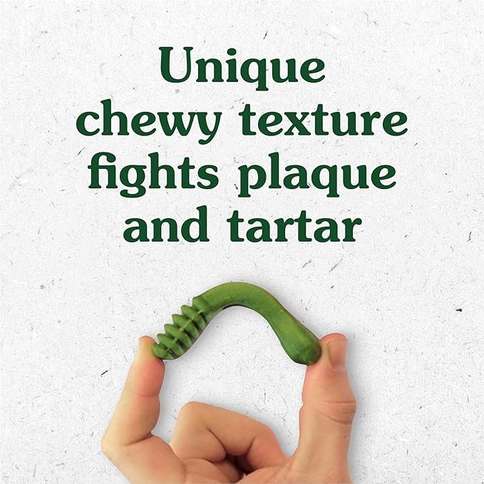 Greenies Petite Dental Dog Treats, Pumpkin Spice Flavor, Limited Edition, 12 oz. Pack (20 Treats)