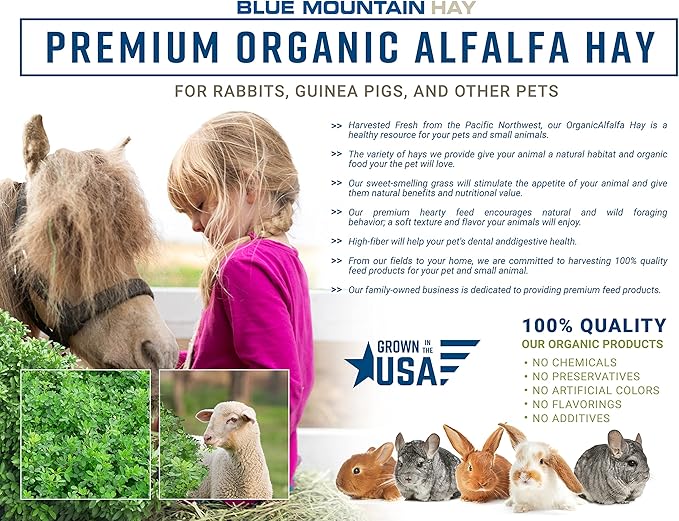Blue Mountain Hay High-Altitude Hay - Organic Alfalfa, 10lb - High Protein, Fiber & Mineral-Rich - Soft, Leafy, High Leaf Retention - Ideal for Goats, Rabbits, Guinea Pigs & Other Small Animals