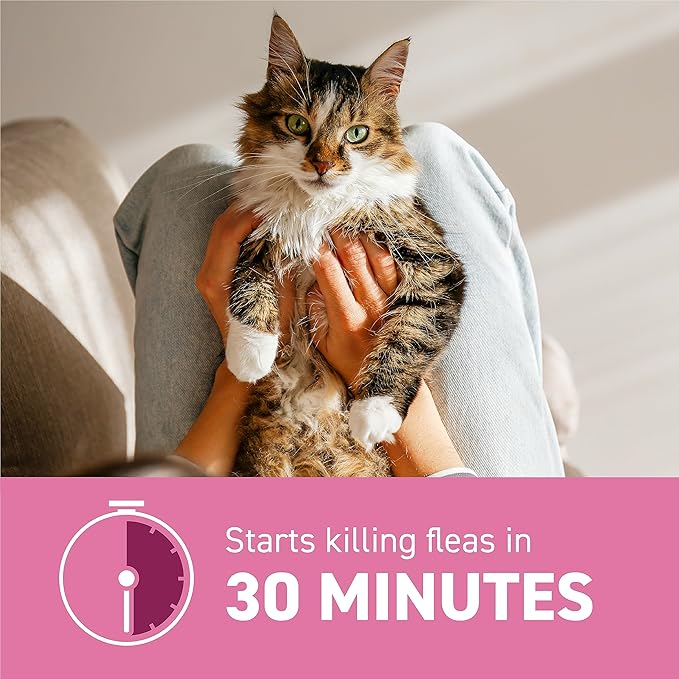 Capstar (nitenpyram) for Cats, Fast-Acting Oral Flea Treatment for Cats 2-25 lbs, Vet-Recommended Flea Medication Tablets Start Killing Fleas in 30 Minutes, 12 Doses