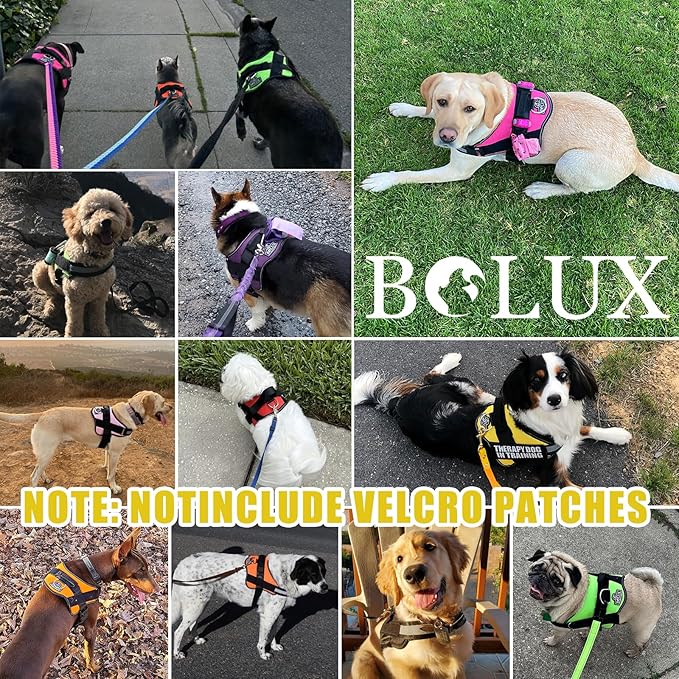 Bolux Dog Harness, No-Pull Reflective Dog Vest, Breathable Adjustable Pet Harness with Handle for Outdoor Walking - No More Pulling, Tugging or Choking (Small (Pack of 1), Watercolour)