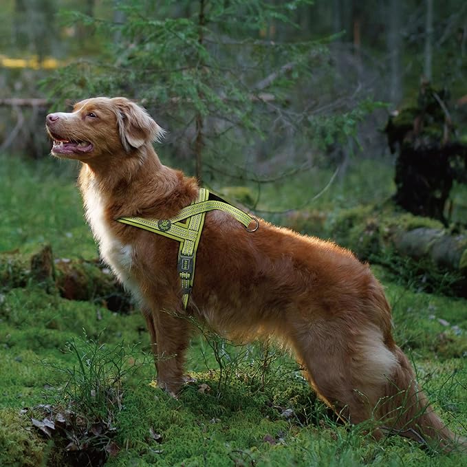 DOCO No-Pull Dog Harness Halter Reflective Easy-Control Harness for Training, Walking, and Preventing Pulling, Ideal for Medium Dogs(Navy Blue)