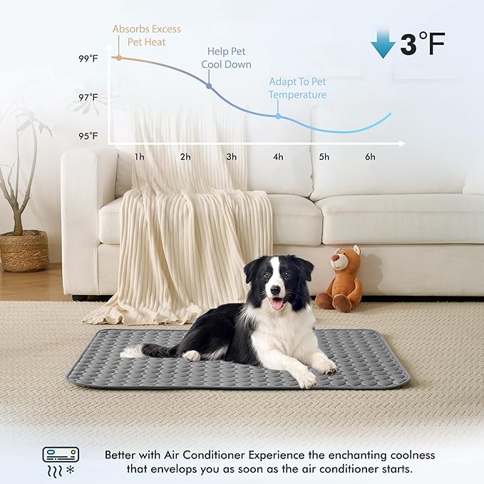 MICROCOSMOS Summer Cooling Mat & Sleeping Pad- Water Absorption Top, Materials Safe, Easy Carry, EZ Clean. Keep Cooling for Pets, Kids and Adults.(Drak Grey, 48" x24")
