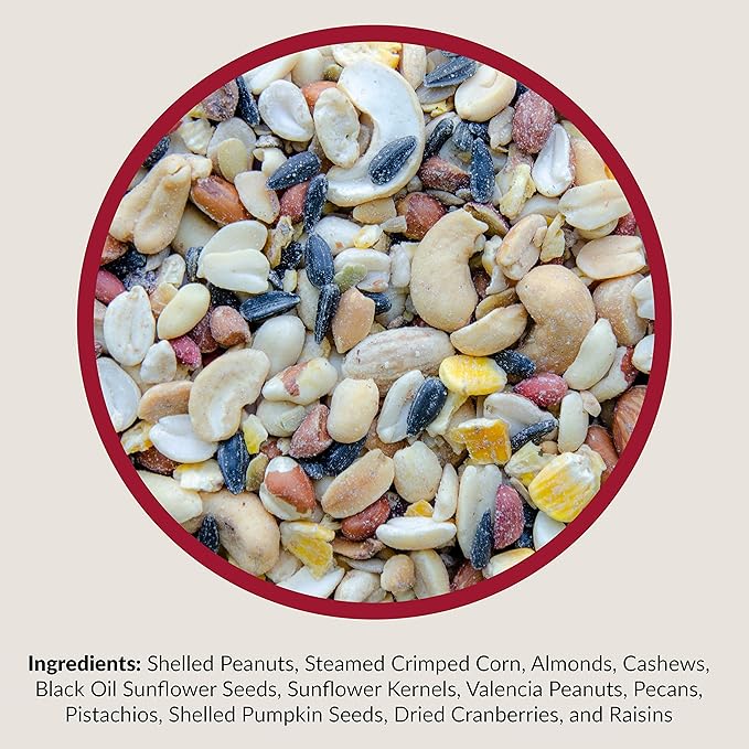 Lyric Fruit and Nut Wild Bird Seed - High Energy Wild Bird Food Mix - Attracts Woodpeckers, Chickadees & Other Songbirds - 10 lb. (pack of 2 - 5 lb bags)