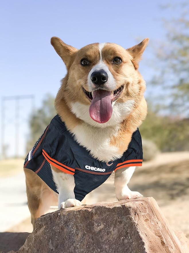 NFL Chicago Bears Dog Jersey, Size: X-Small - Best Football Costume for Dogs & Cats - Licensed Shirt