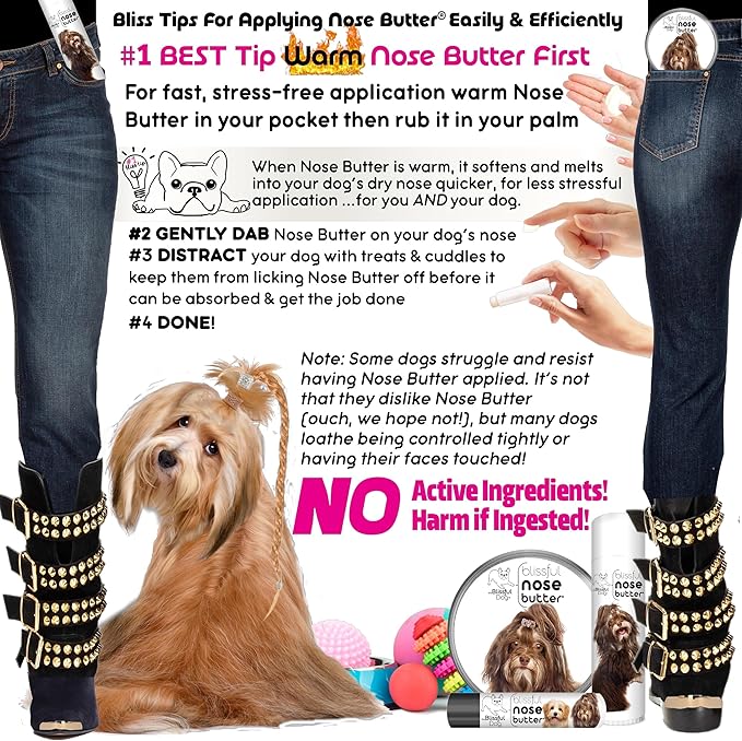 The Blissful Dog Havanese Nose Butter for Dry, Cracked Skin, Lick-Safe Dog Nose Balm with Moisturizing Shea Butter, Almond, Olive, and Essential Oils, Pet Supplies, Uncented, 8 oz.