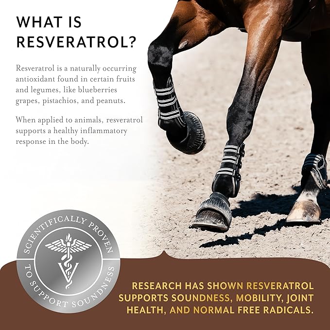 Equithrive Original Joint Supplement Powder with Resveratrol and Hyaluronic Acid for Horses, Equine Care, 2 lbs