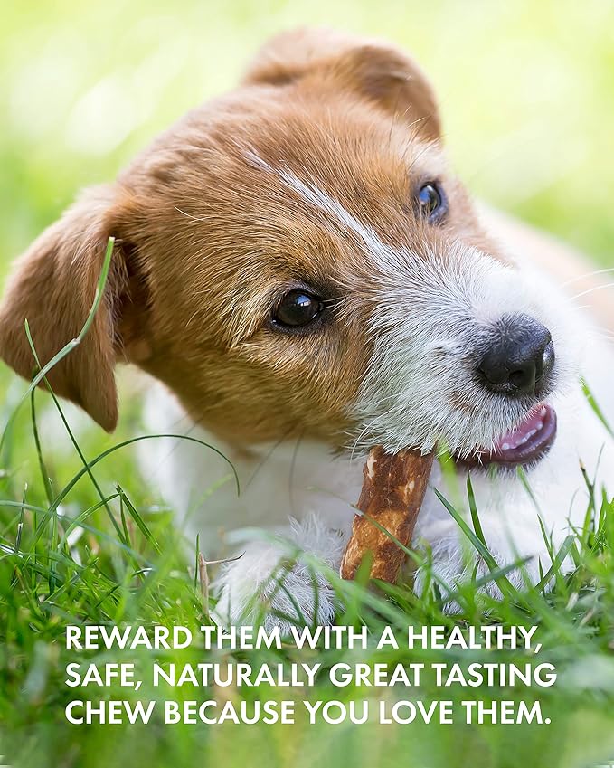 Canine Naturals Peanut Butter Chew - 100% Rawhide Free Dog Treats - Made with Real Peanut Butter - All-Natural and Easily Digestible - 2 Pack of 7 Inch Large Rolls for Dogs 50 lbs and up