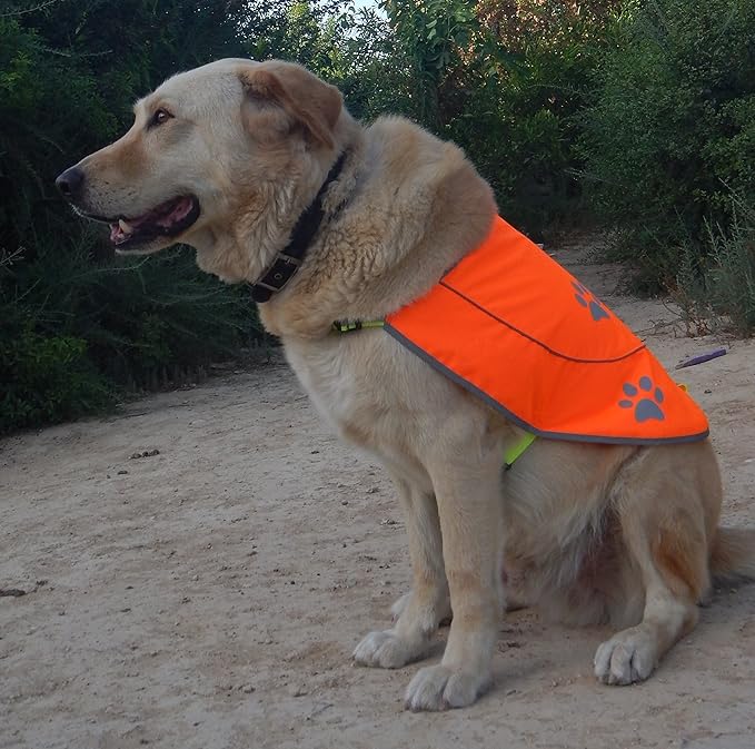 Dog Reflective Vest - Comfortable Jacket Safety Hunting, High Visibility for Dogs with Elastic Straps and Clasp Closure- Yellow, Small