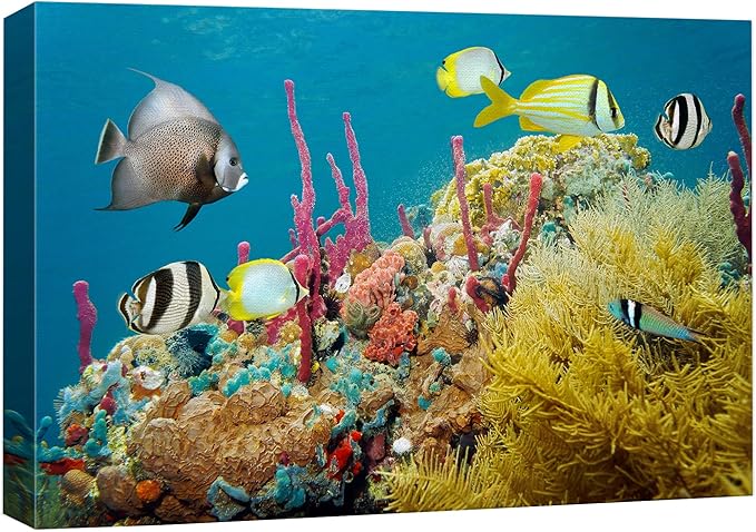 wall26 Canvas Print Wall Art Deep Sea Marine Fish with Coral Reef Nature Ocean Photography Realism Nautical Scenic Relax/Calm Multicolor Ultra for Living Room, Bedroom, Office - 32"x48"