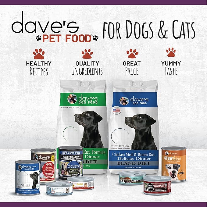 Dave's Pet Food Grain Free Wet Cat Food (Minced Chicken in Gravy), Naturally Healthy Canned, Added Vitamins & Minerals, Wheat, Gluten & GMO-Free, 2.8 oz (24 Pack)