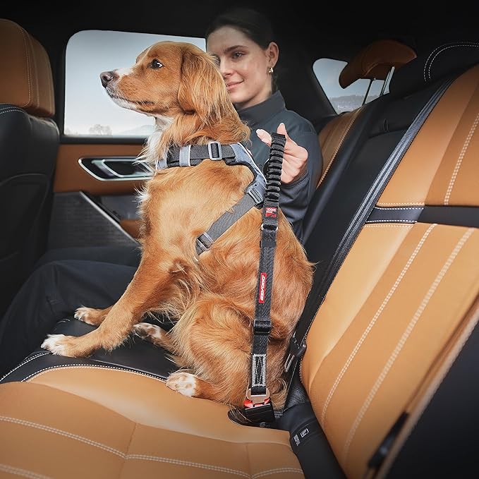 EzyDog Zero Shock Click - Shock Absorbing Dog Seat Belt Car Harness Attachment for Dogs - Adjustable Dog Restraints Seatbelts for Car Travel and Safety - (20in - 26in, Black)